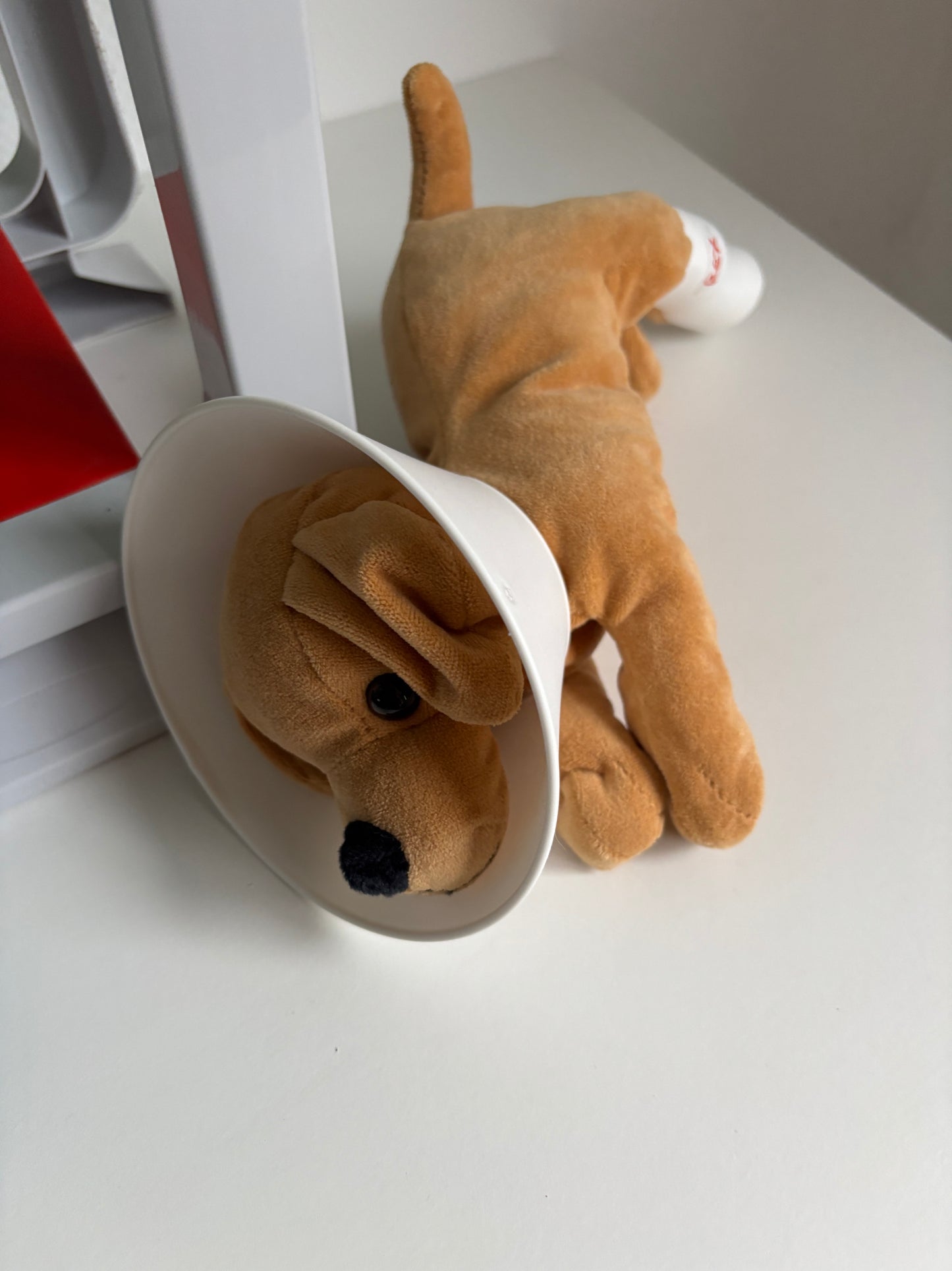 Dierenartsen praktijk