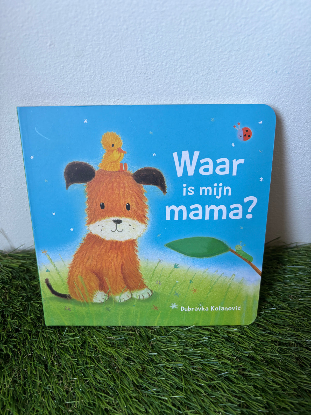 Waar is mijn mama?