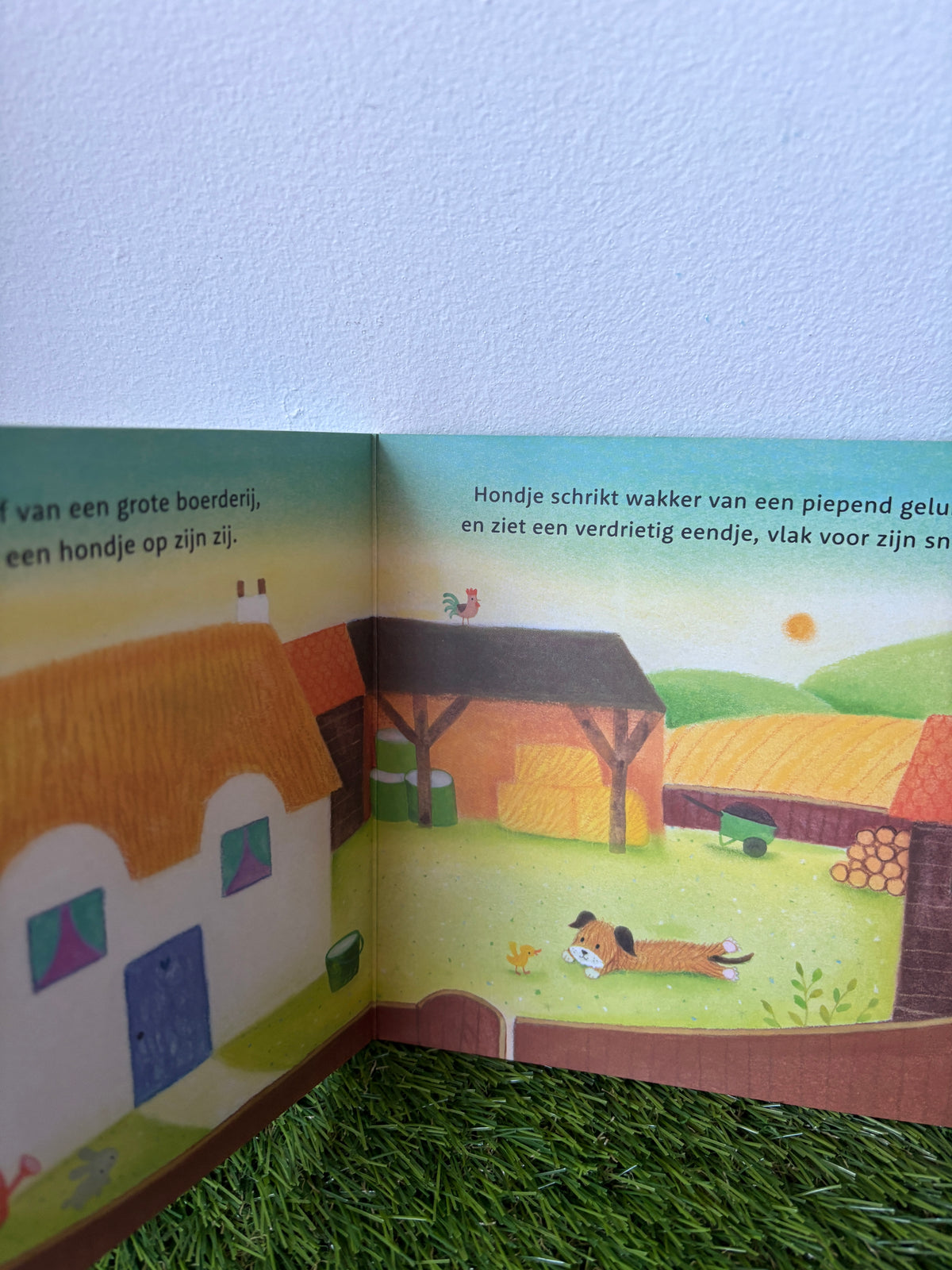 Waar is mijn mama?