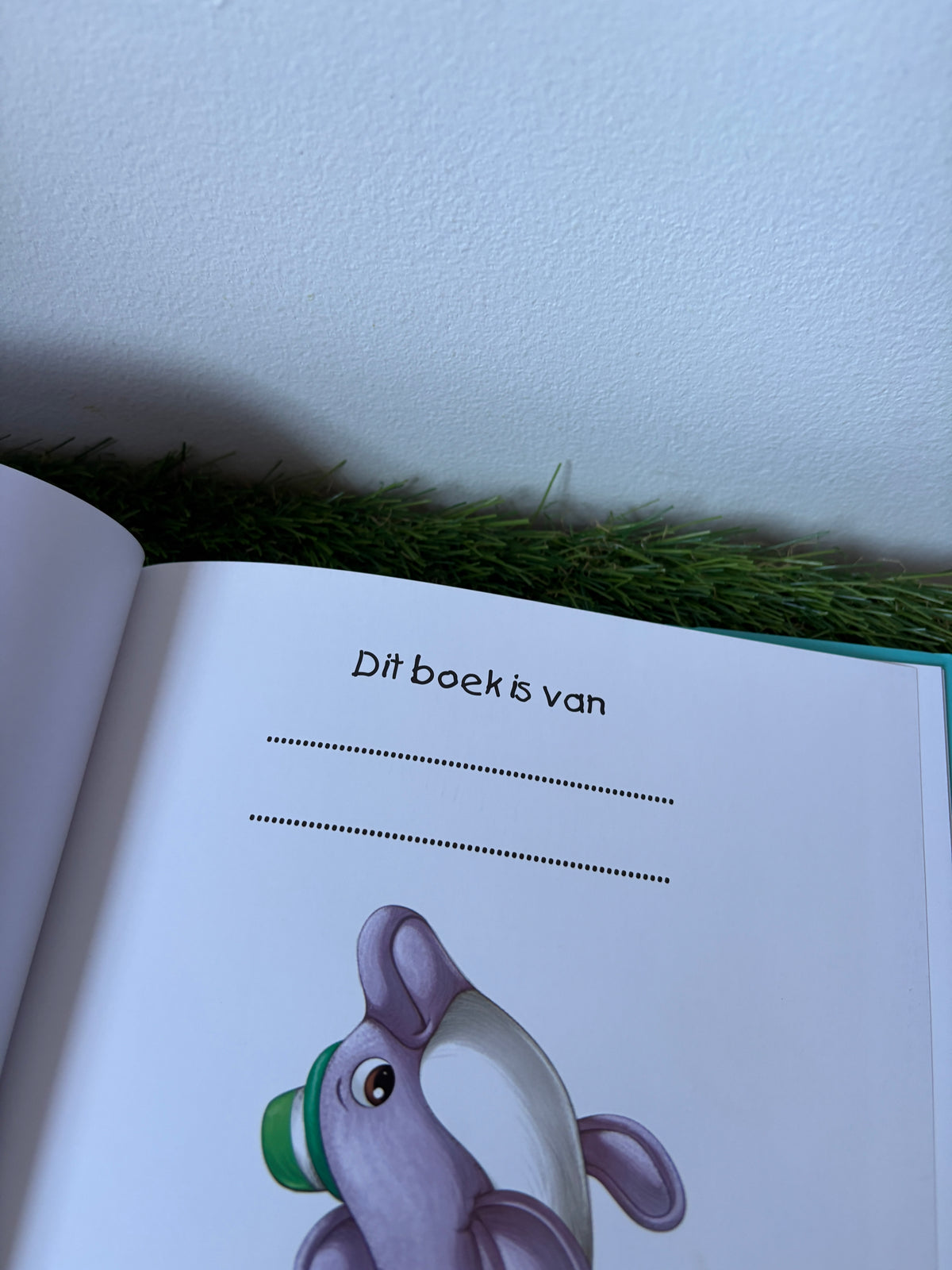 Charlie en de dolfijnenshow