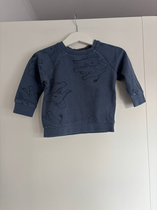 Blauwe trui met olifantjes