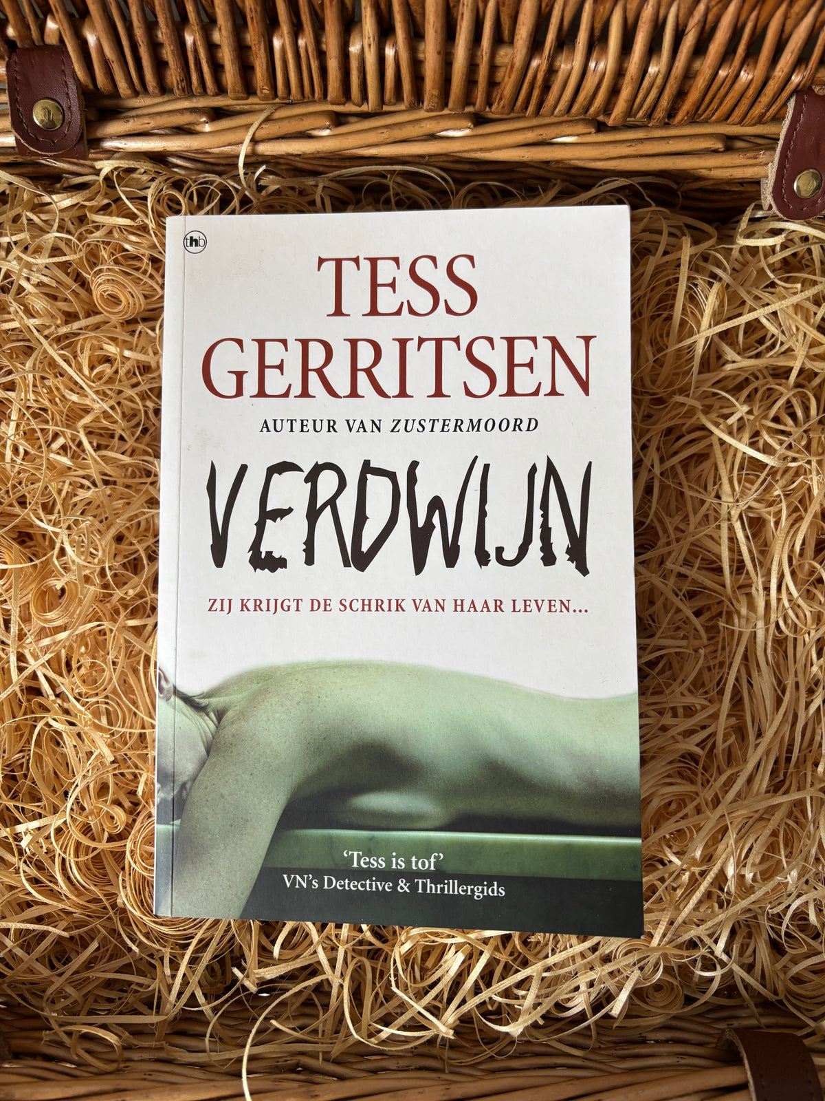 Tess Gerritsen - Verdwijn