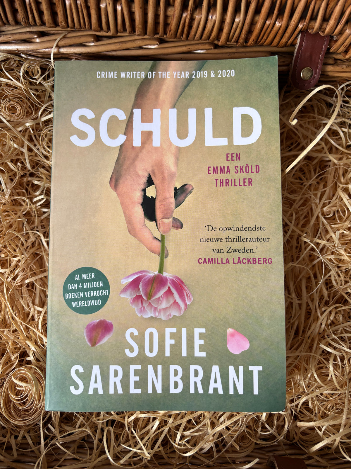 Sofie Sarenbrant - Schuld