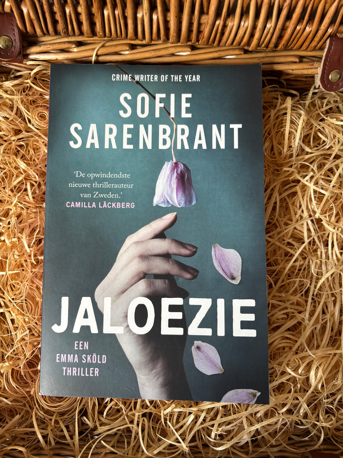 Sofie Sarenbrant - Jaloezie