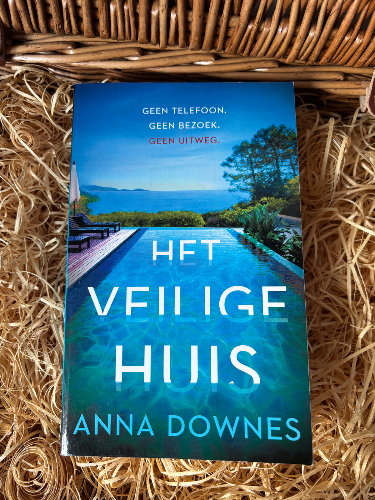 Anna Downes - Het veilige huis