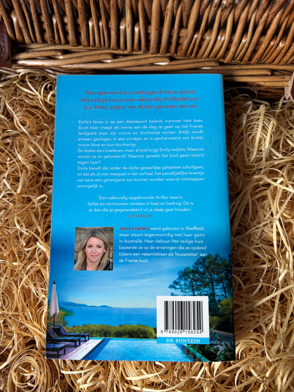 Anna Downes - Het veilige huis