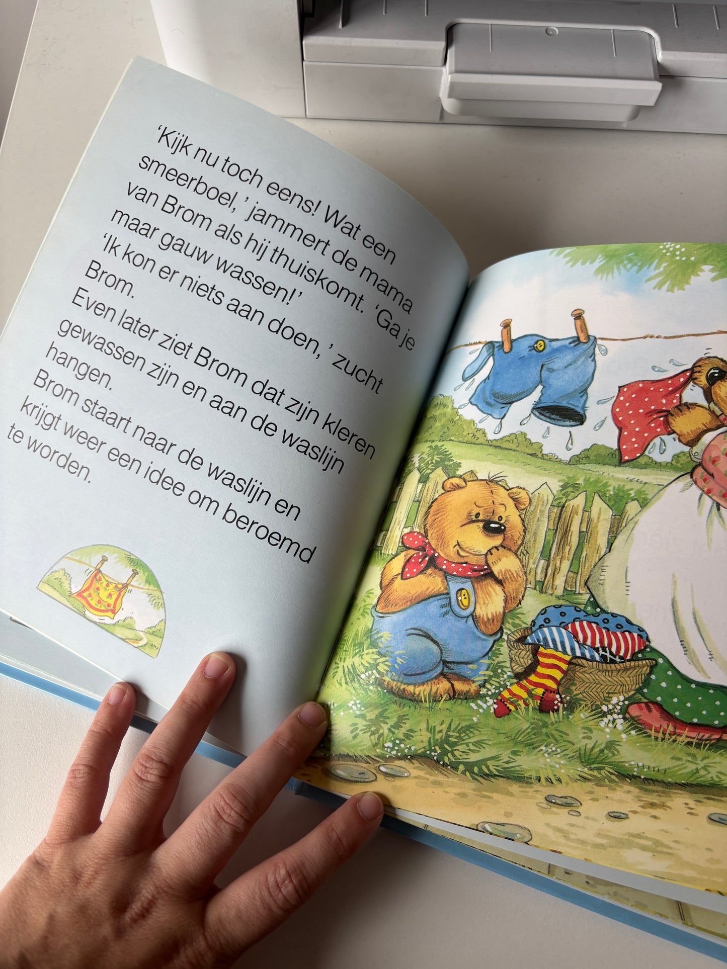 Verhalen van Brom de Beer