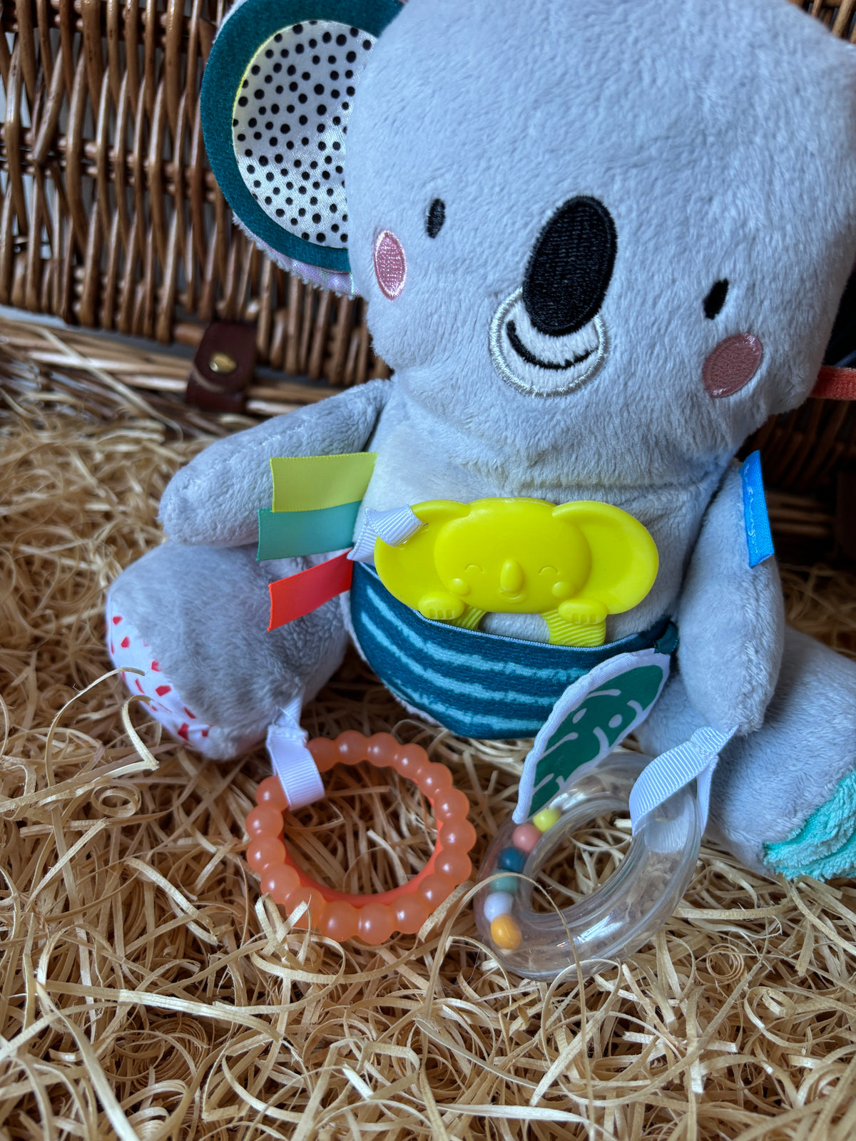 Koala | Taf Toys
