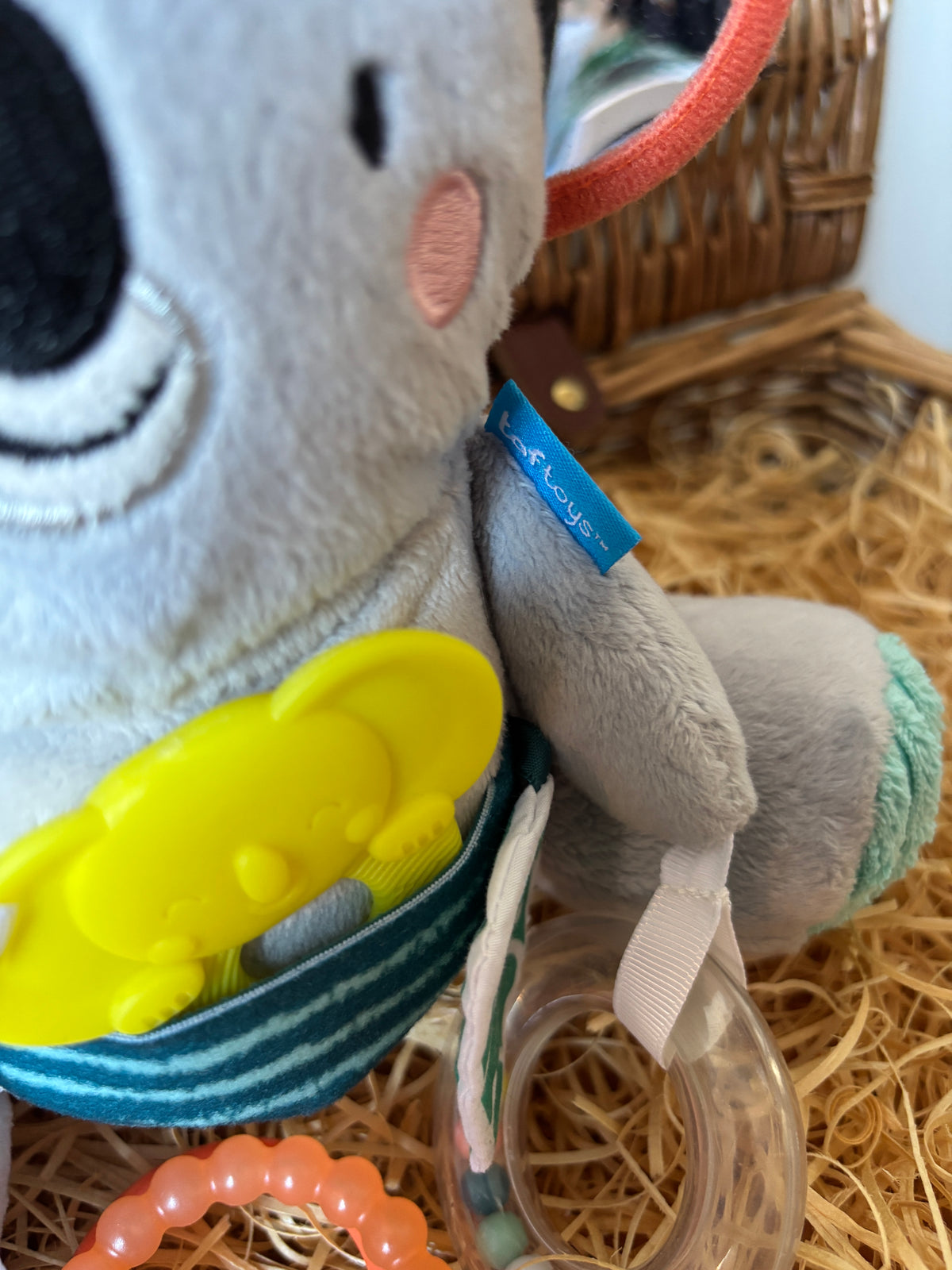 Koala | Taf Toys