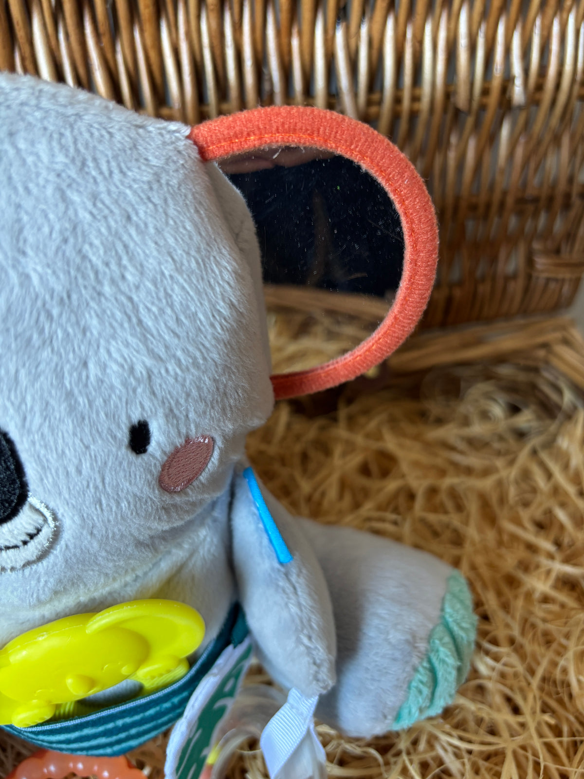 Koala | Taf Toys