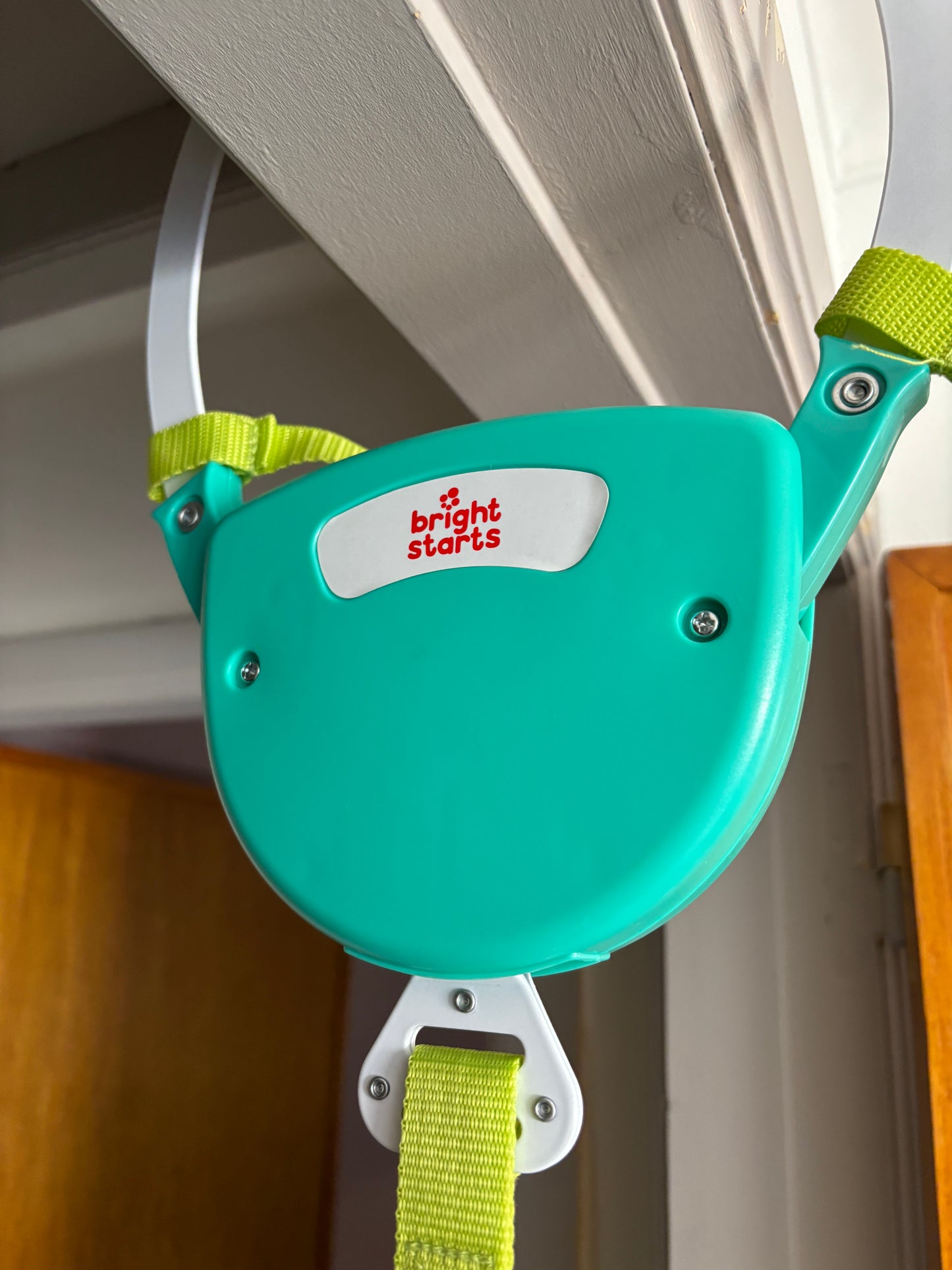 Zig Zag Zebra Door Jumper