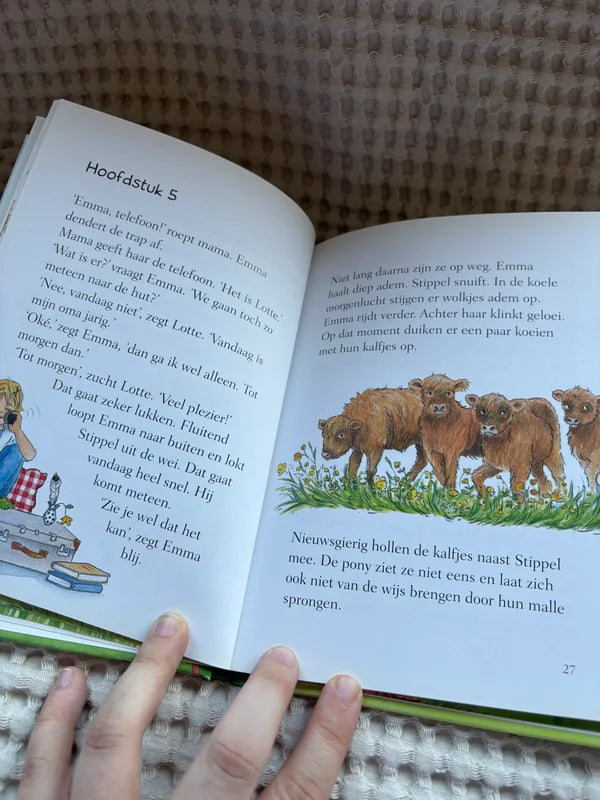 De Ponygirls - De geheime boomhut