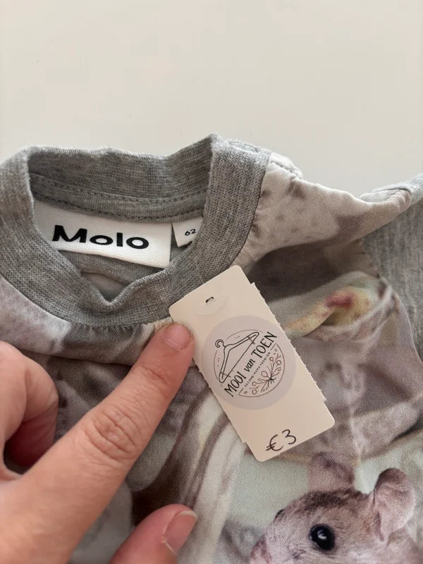 Grijs jurkje met muisjes