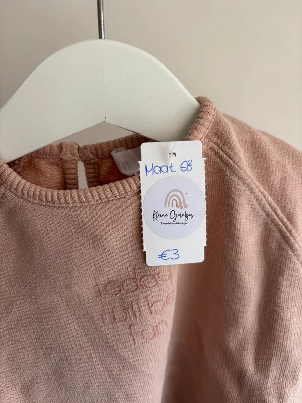 Lichtroze sweater "Today will be fun"